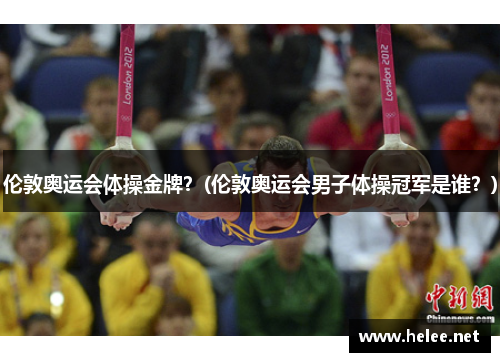 伦敦奥运会体操金牌？(伦敦奥运会男子体操冠军是谁？)
