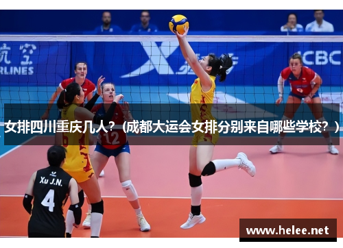 女排四川重庆几人？(成都大运会女排分别来自哪些学校？)